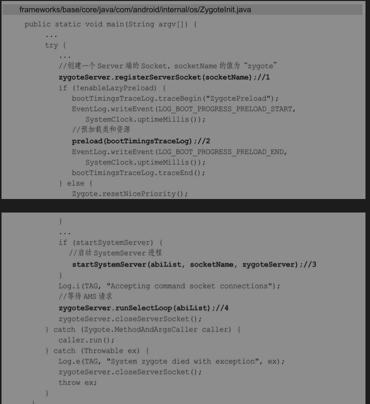 image-20240311095511748