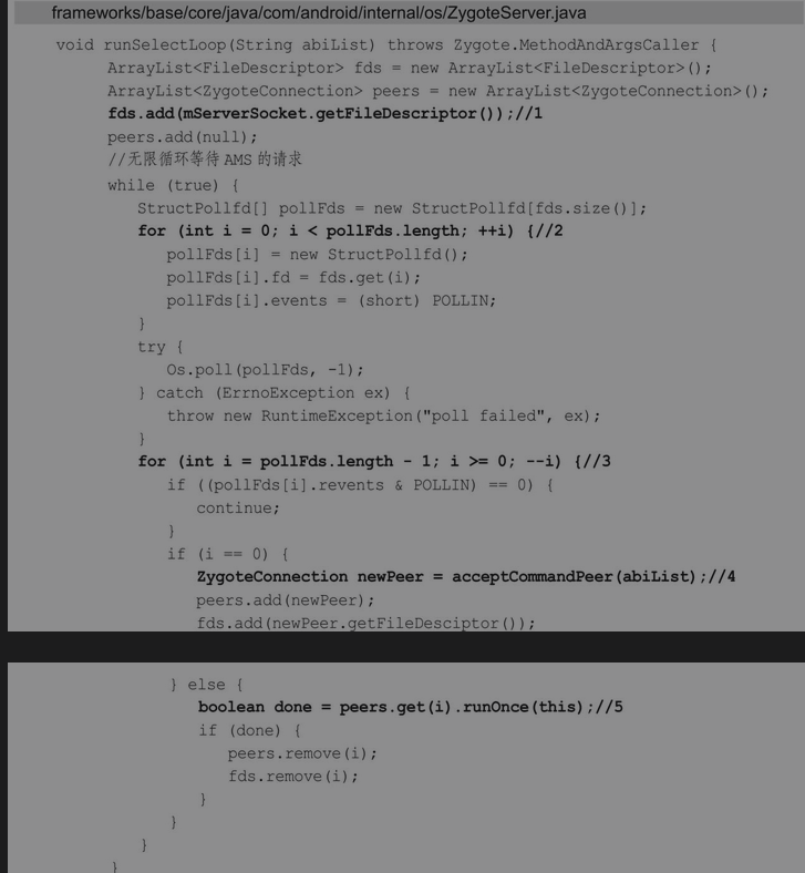 image-20240312075506235