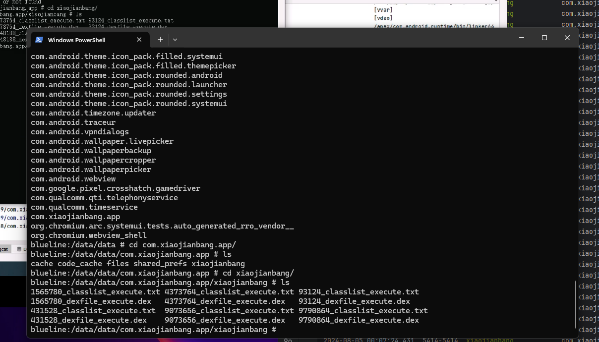 image-20240805000513018